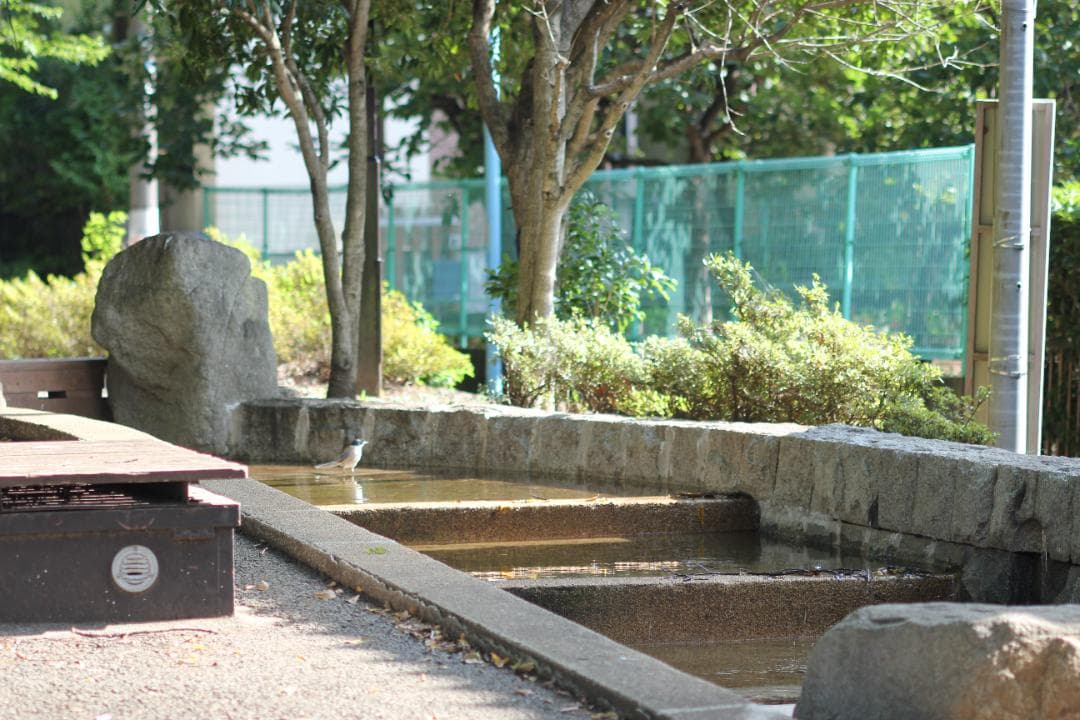 CANON MACRO Lens EF 100 2.8 動作OK