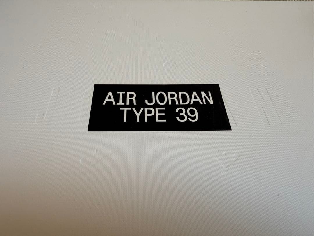 AIR JORDAN TYPE 39 エアージョーダンRNWY PF【26cm】
