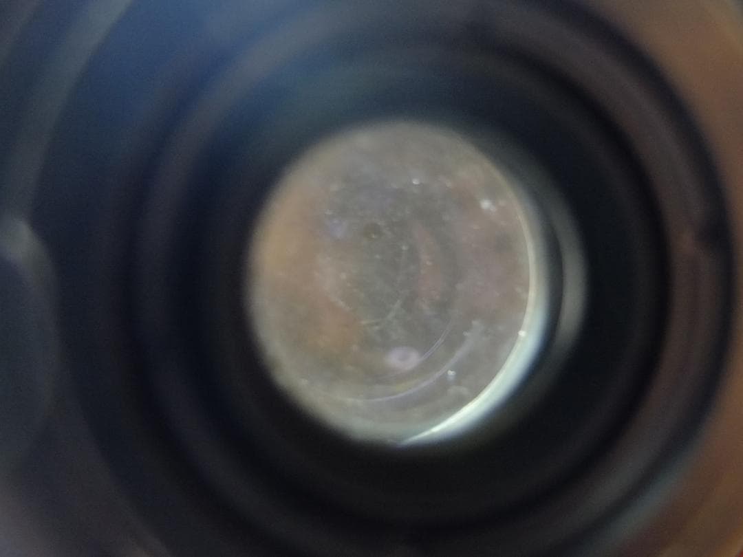 カールツァイス イエナ テッサー 50mm F2.8・EXAKTA【実写確認済】