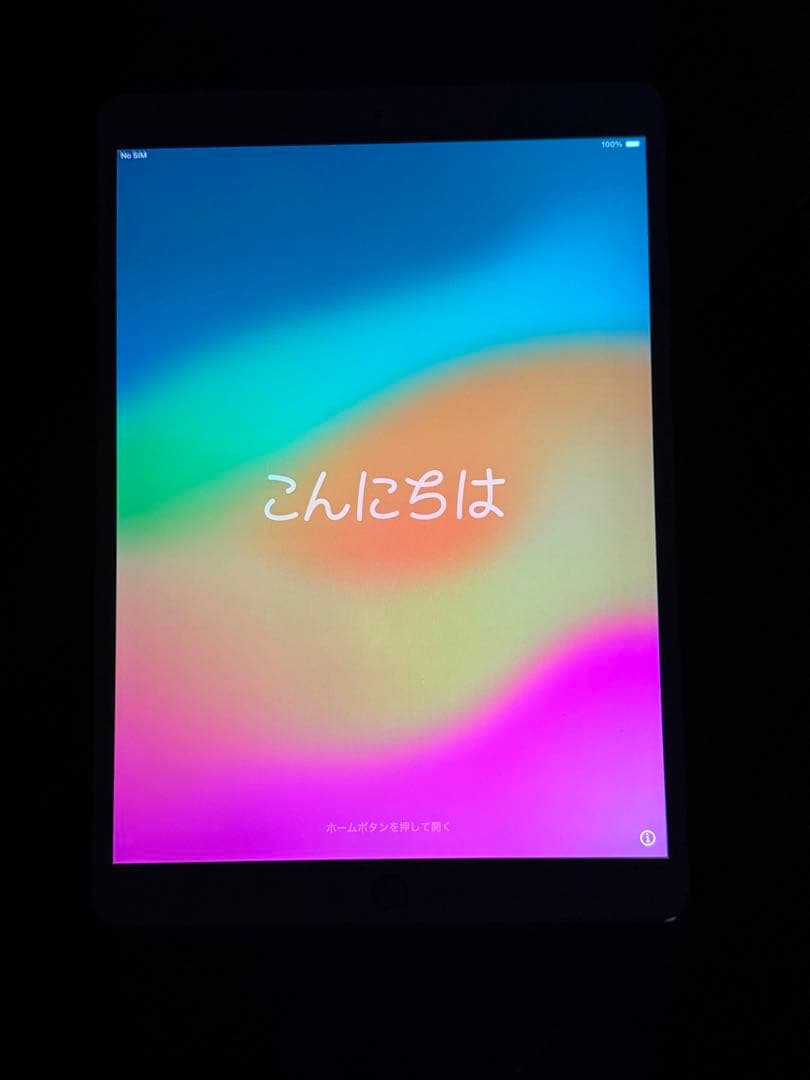 iPad Pro 10.5インチ Cellularモデル (docomo)