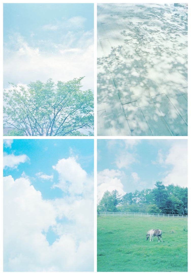 -Sold Out-【修理&カスタマイズ済】Fujica Half / 28mm