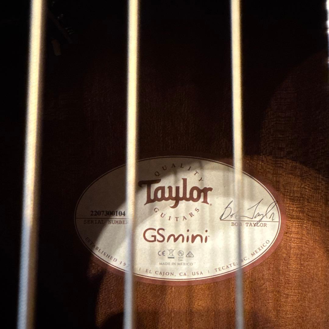 Taylor GS mini koa-e plus エアロケース付属