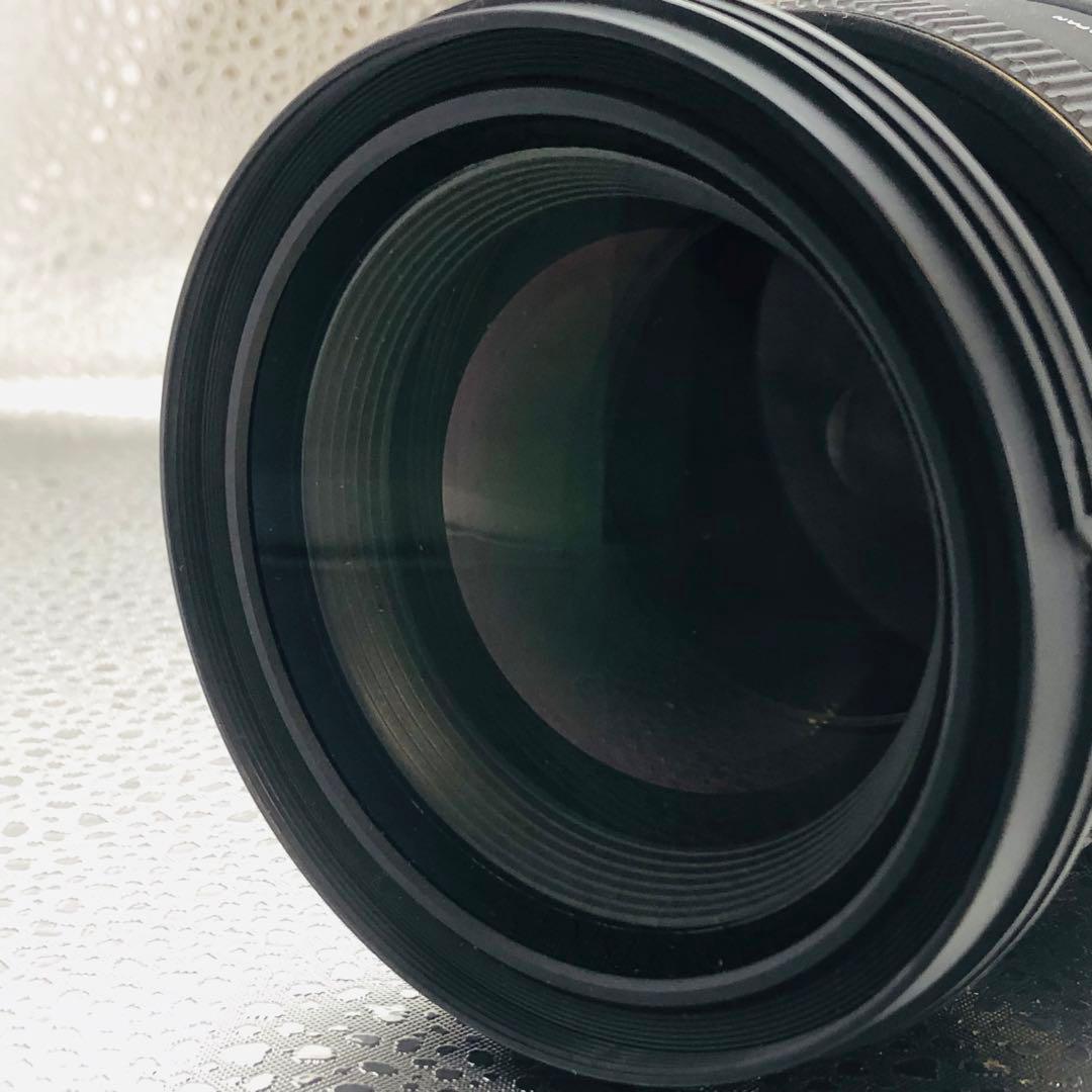 sigma 24-70mm 1:2.8 DG HSM EX IF (ニコン用)