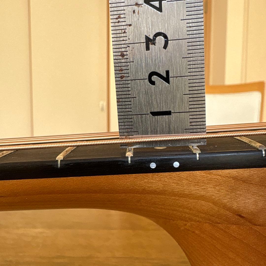 Taylor Academy 12e エレアコ