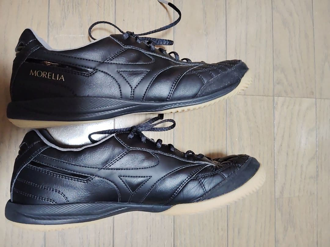 Morelia sala japan モレリアサラ ジャパン in　25cm