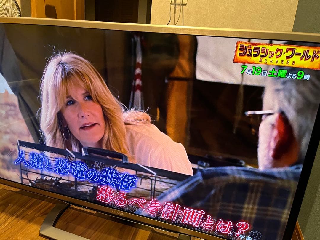 SHARP 液晶テレビ LC-46G9 2014年製