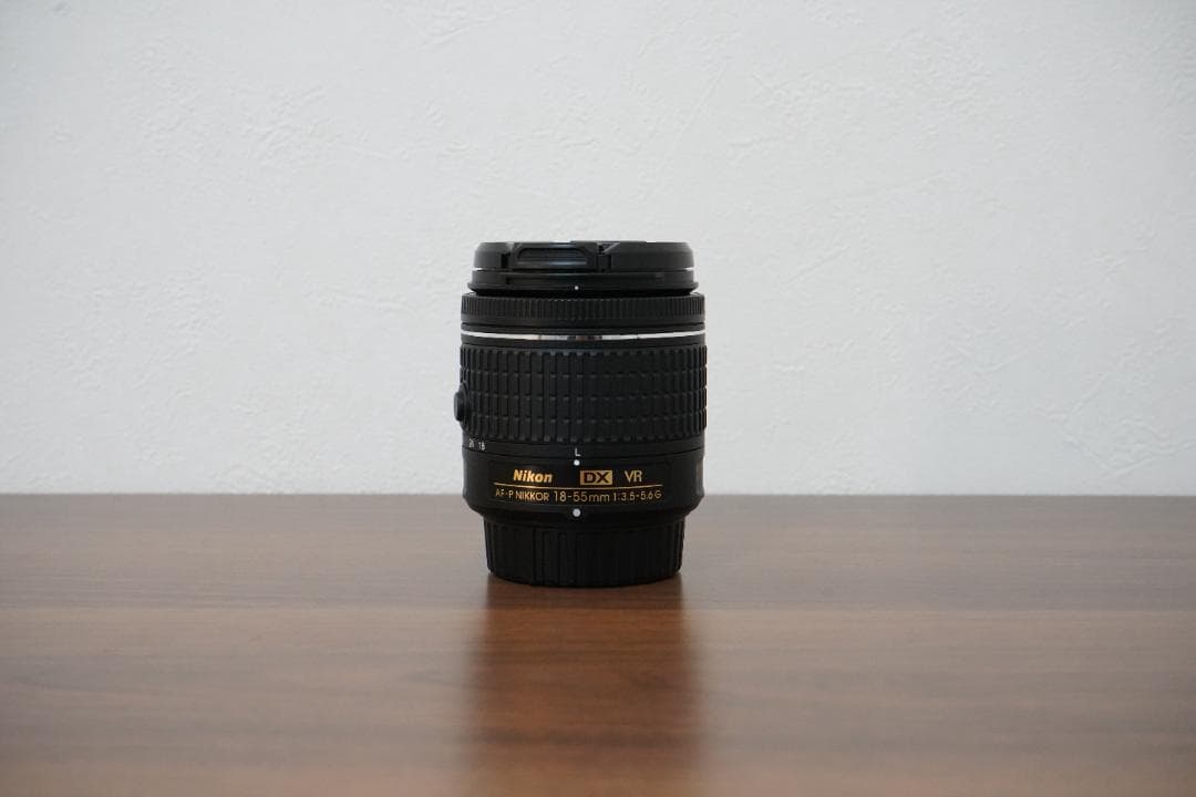 【ショット数3509枚】Nikon D5600 標準レンズ＋バッテリー2個付き