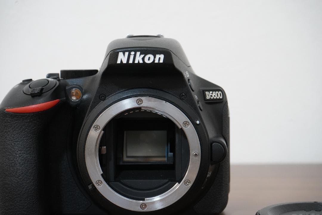 【ショット数3509枚】Nikon D5600 標準レンズ＋バッテリー2個付き