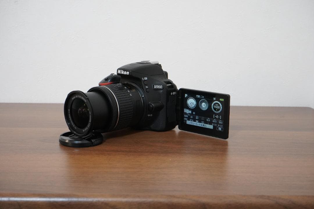 【ショット数3509枚】Nikon D5600 標準レンズ＋バッテリー2個付き