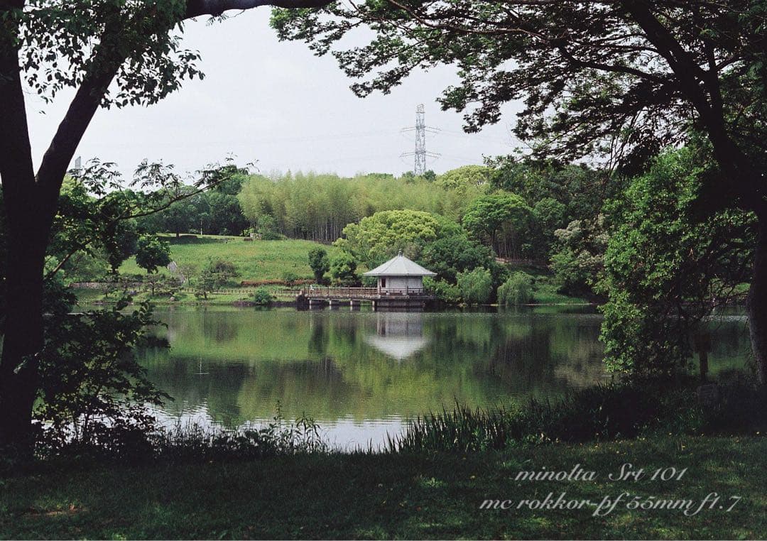 minolta srt101 ★美品＊完動品★緑のロッコール★作例多数＊保証付