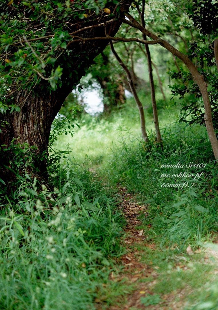 minolta srt101 ★美品＊完動品★緑のロッコール★作例多数＊保証付