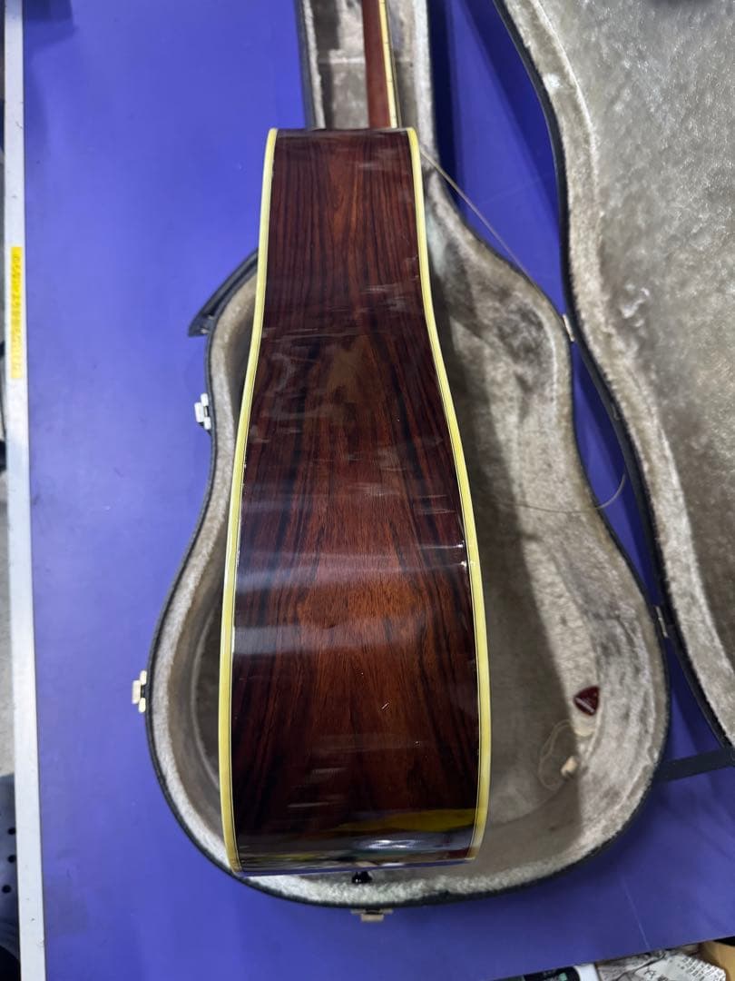 MORRIS TF-801 アコースティックギター