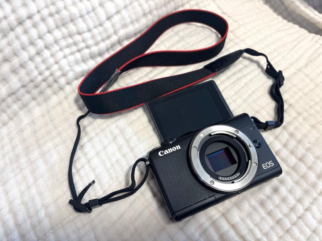 【美品】Canon ミラーレス一眼カメラ EOS M100 ＋単焦点レンズ