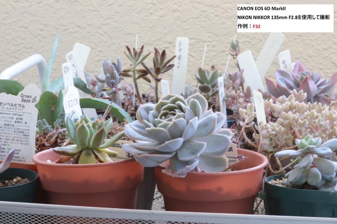 【動作OK】ニコン (Ai-s)Nikon NIKKOR 135mm F2.8