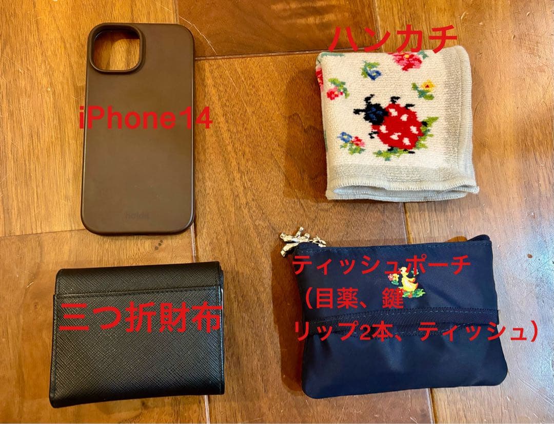 BAOBAO Lucent llic Gunl ショルダーバッグ