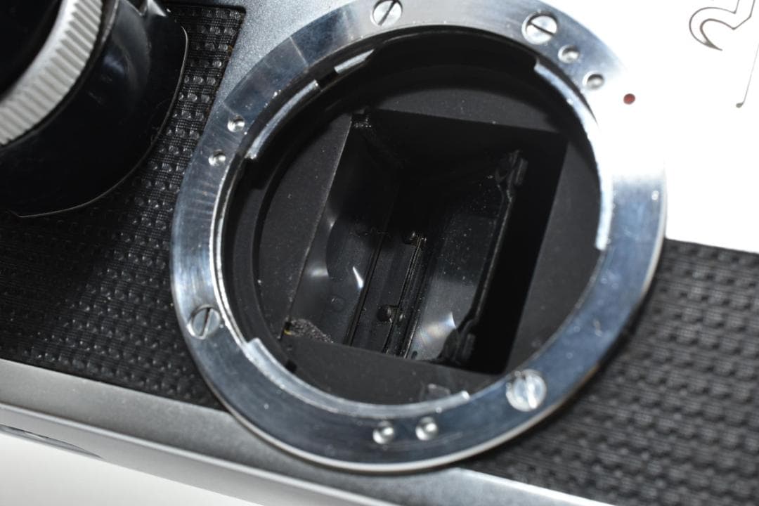 ★各部モルト張り替え済・美品★ オリンパス PEN-F ボディ #21133