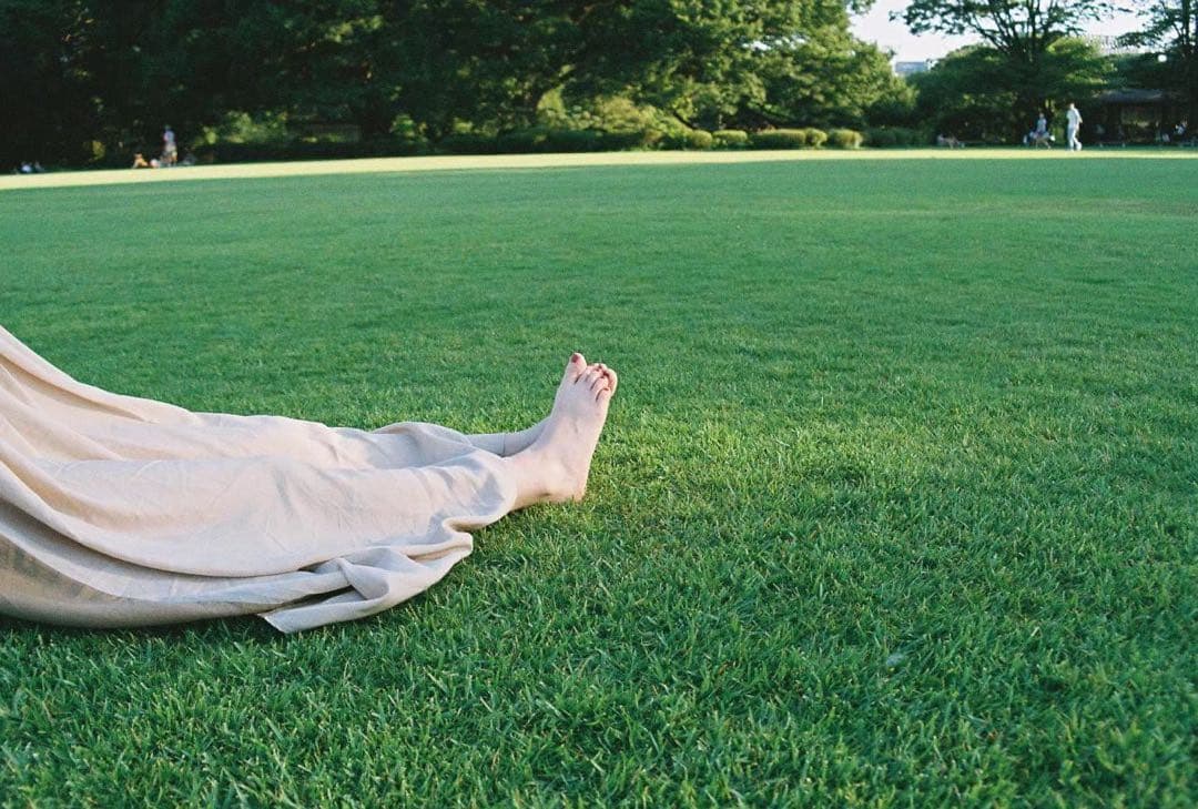 Nikon F5 一眼レフカメラ(作例あり)