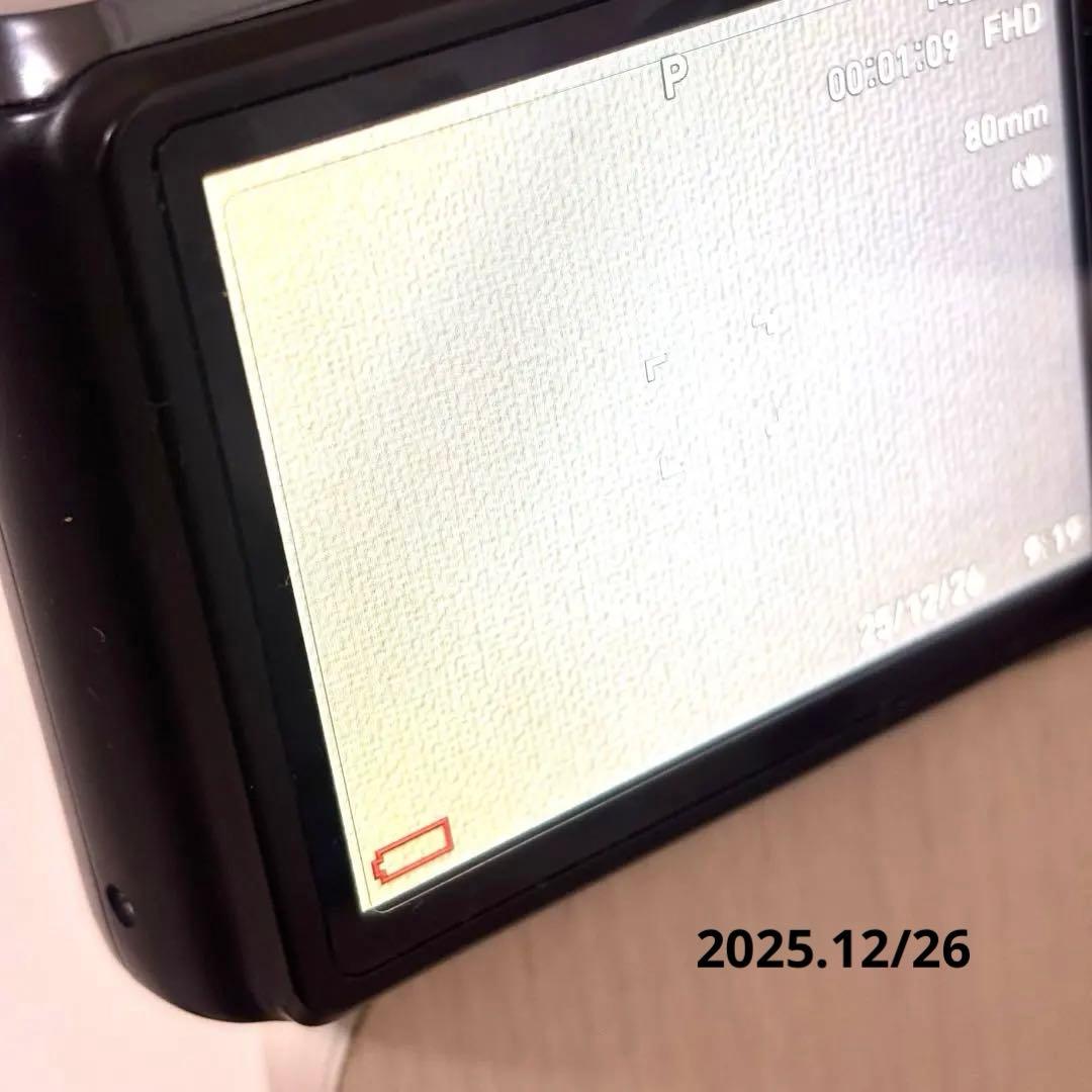 【美品 動作確認◎】 CASIO EXILIM HS デジカメ EX-ZR800