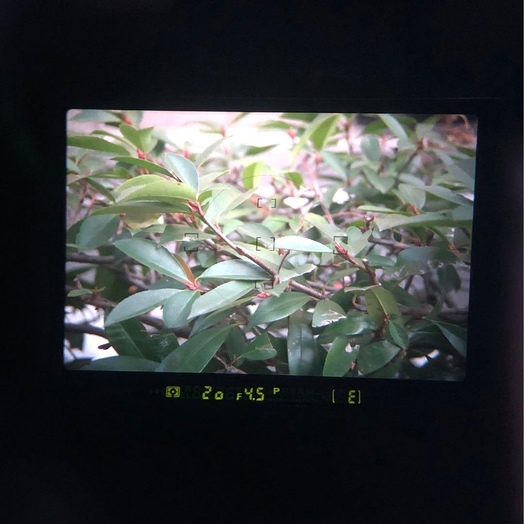 NIKON F100 フィルムカメラ 一眼レフ 28-70mm