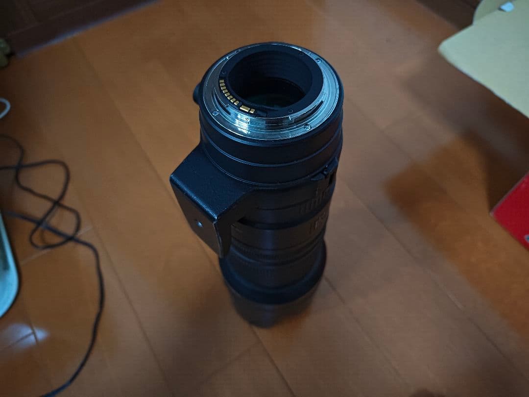 ミ*ー様 SIGMA 70-200mm 1:2.8 APO DG HSM OS