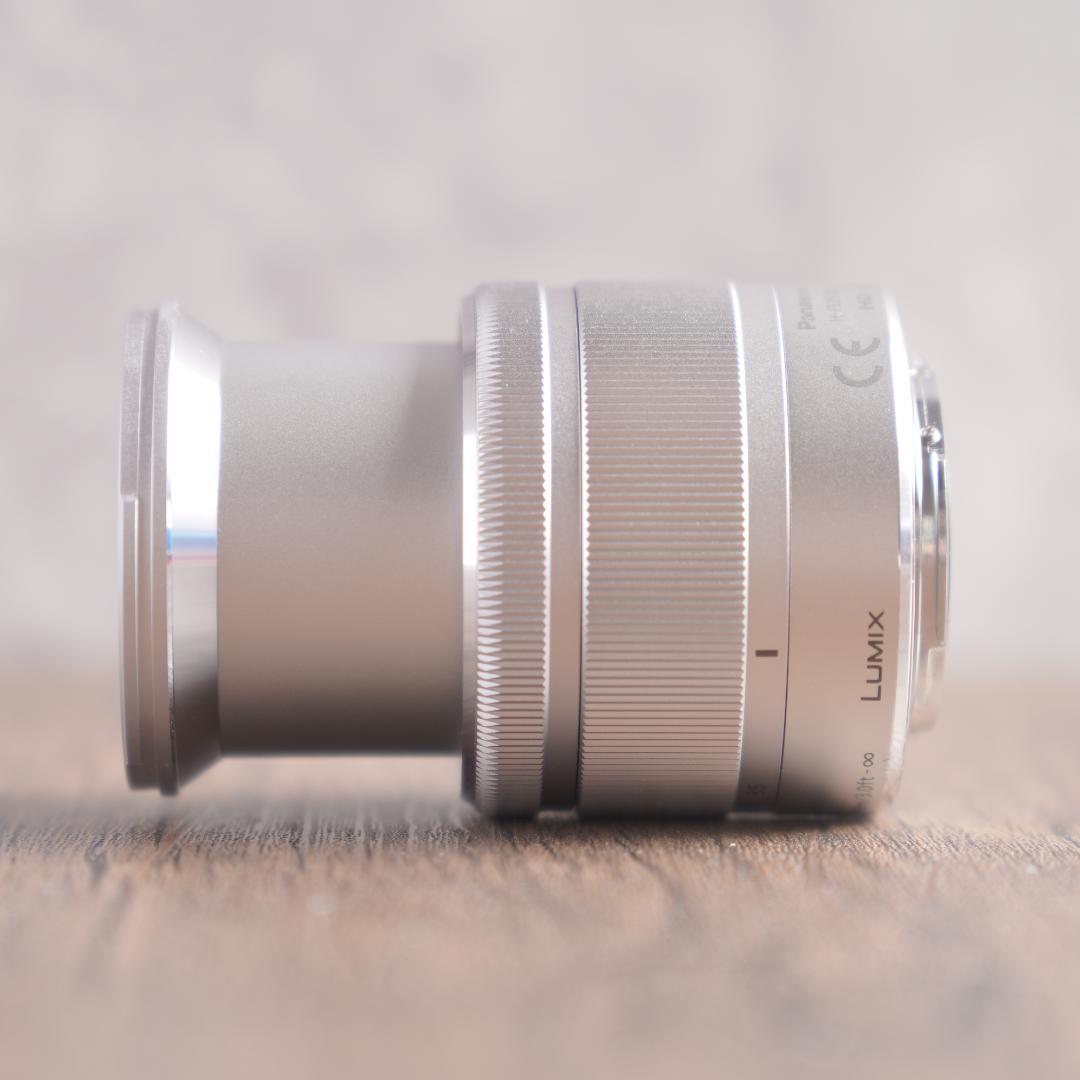 ✨超美品✨中望遠✨LUMIX G VARIO 35-100mm　048-2