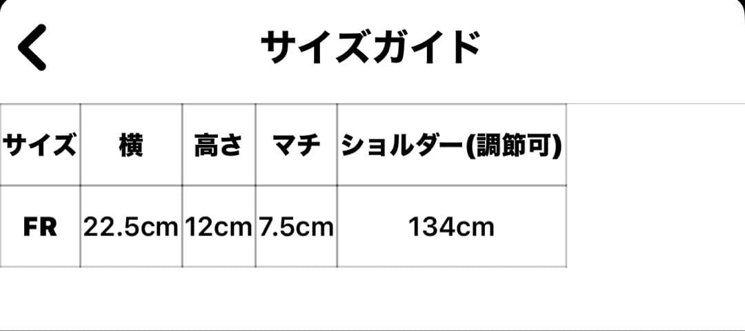 新品PEARLY GATES パーリーゲイツアンカー柄ショルダーバッグ