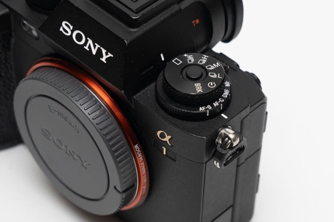 SONY α1 ILCE-1 ショット数7631枚