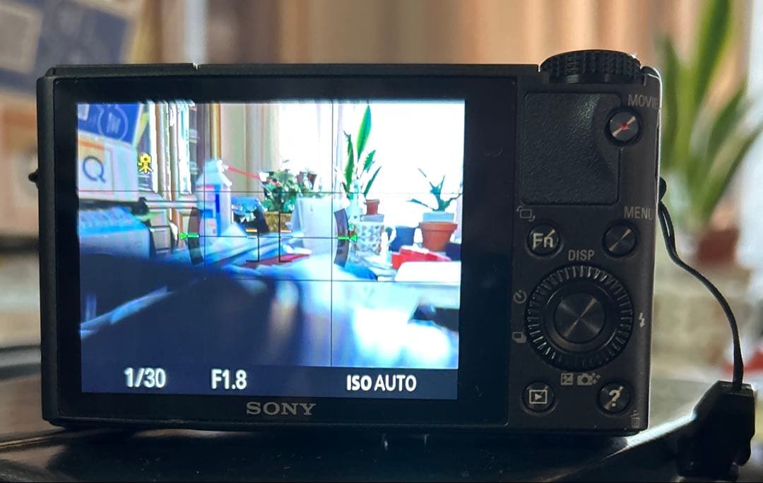 専用m@sa 様　DSC-RX100 後期型（ver.2） SONY Cyber