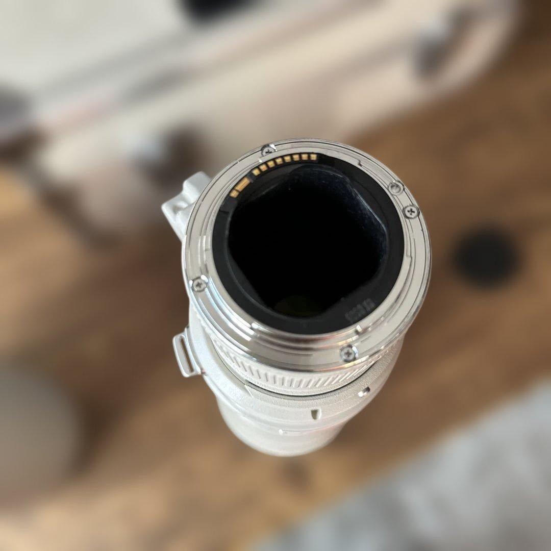 ⭐️希少銘玉良品⭐️Canon EF500mm f4.5L USM 大ボケ