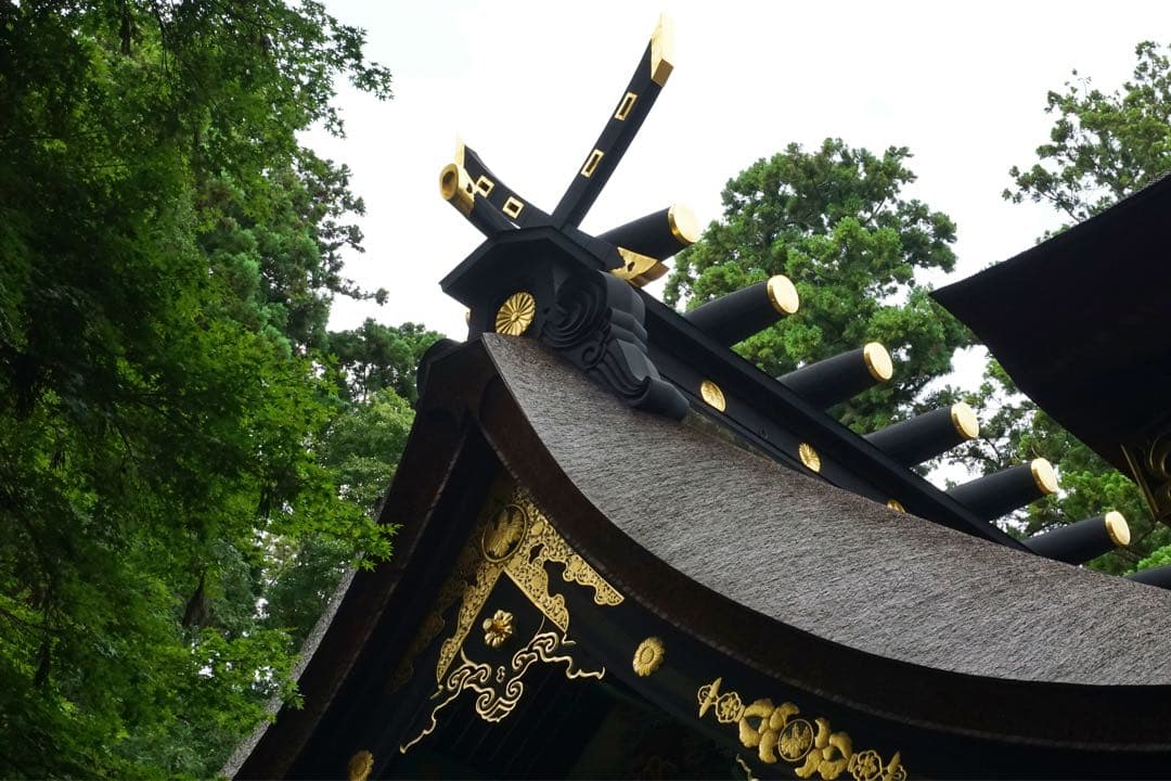 SONY α6000 ミラーレスカメラ E 16-50mmレンズ付き