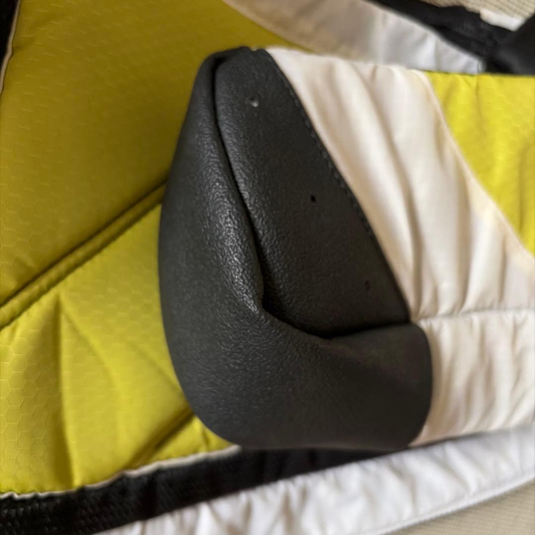 PING ゴルフキャディバッグ グリーン