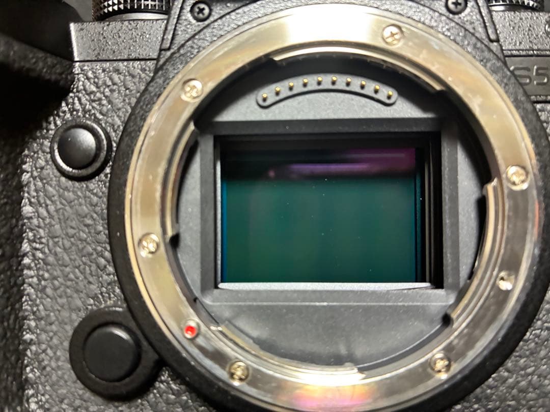 【オマケ多数】LUMIX S5IIX 本体(カメラリグセット)