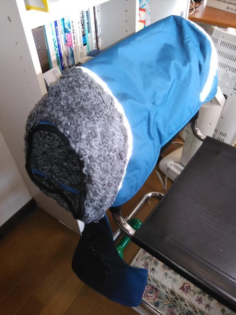 ポムッパ　ペルス　ペトロール　サイズ70