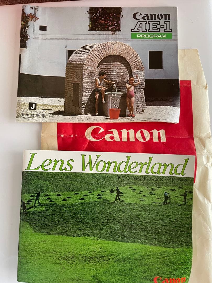 CanonフイルムカメラAEー1 program