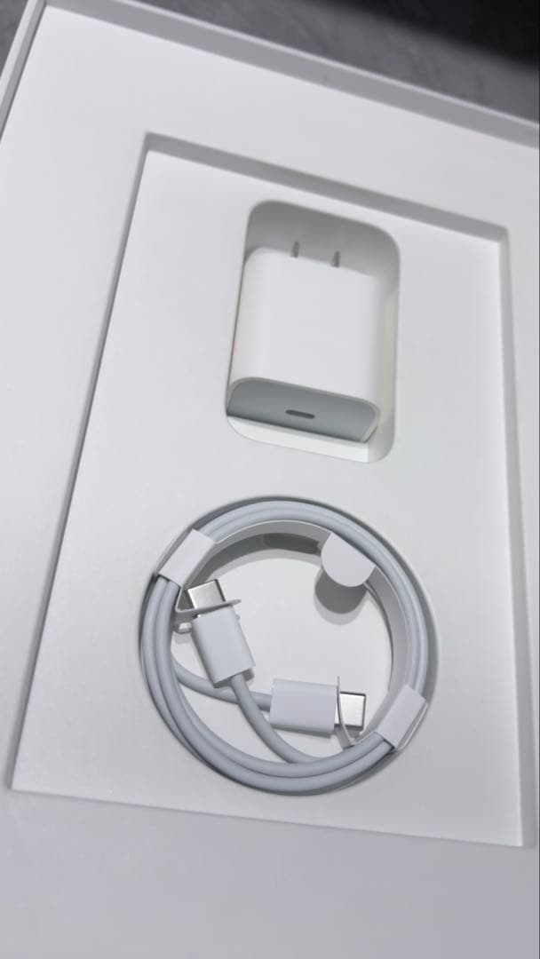 【箱 未使用付属品完備】美品 iPad Air 第4世代 64GB