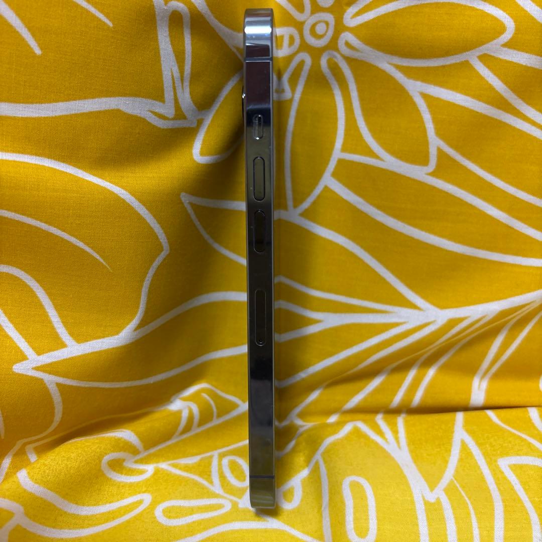 Apple iPhone 13 Pro シエラブルー本体