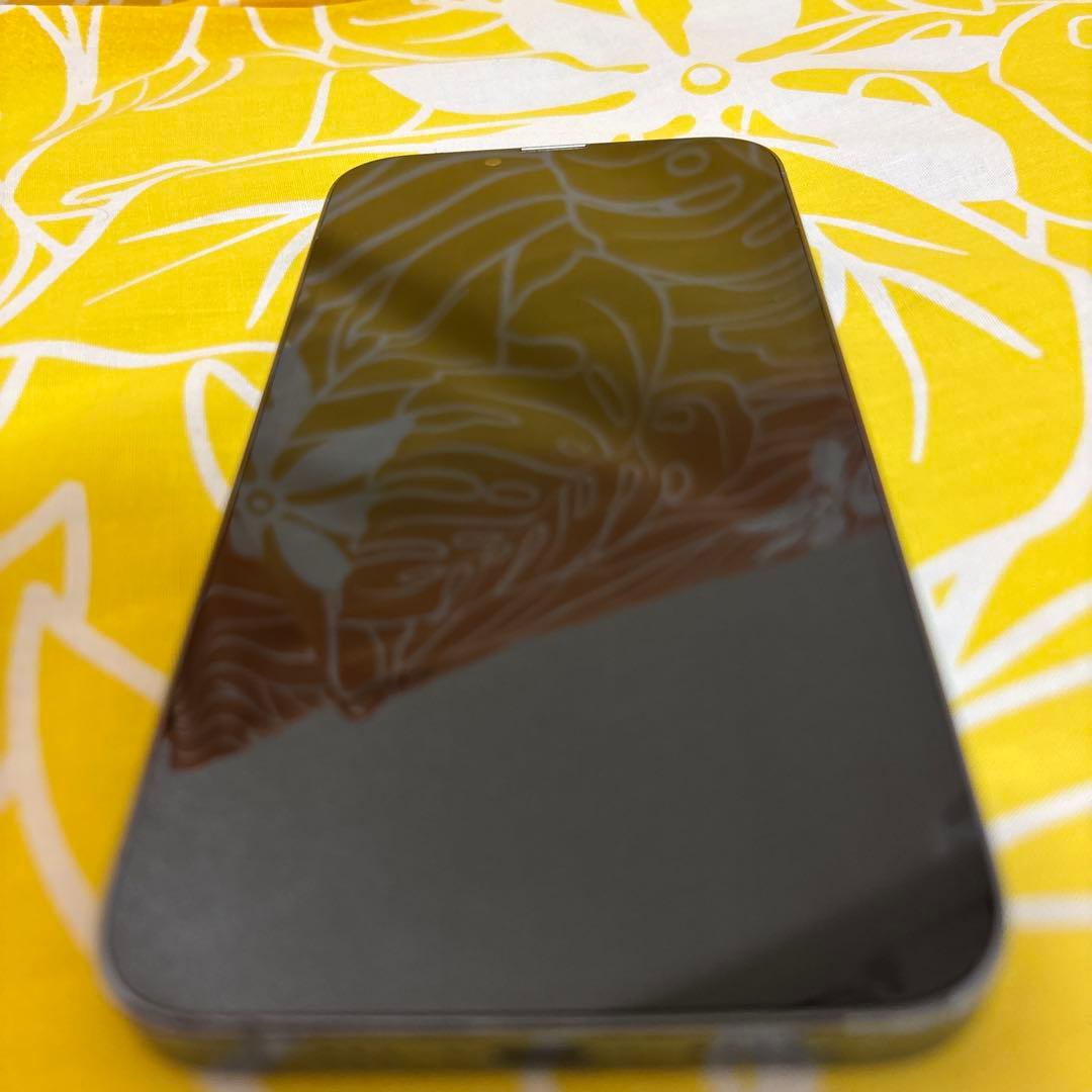 Apple iPhone 13 Pro シエラブルー本体