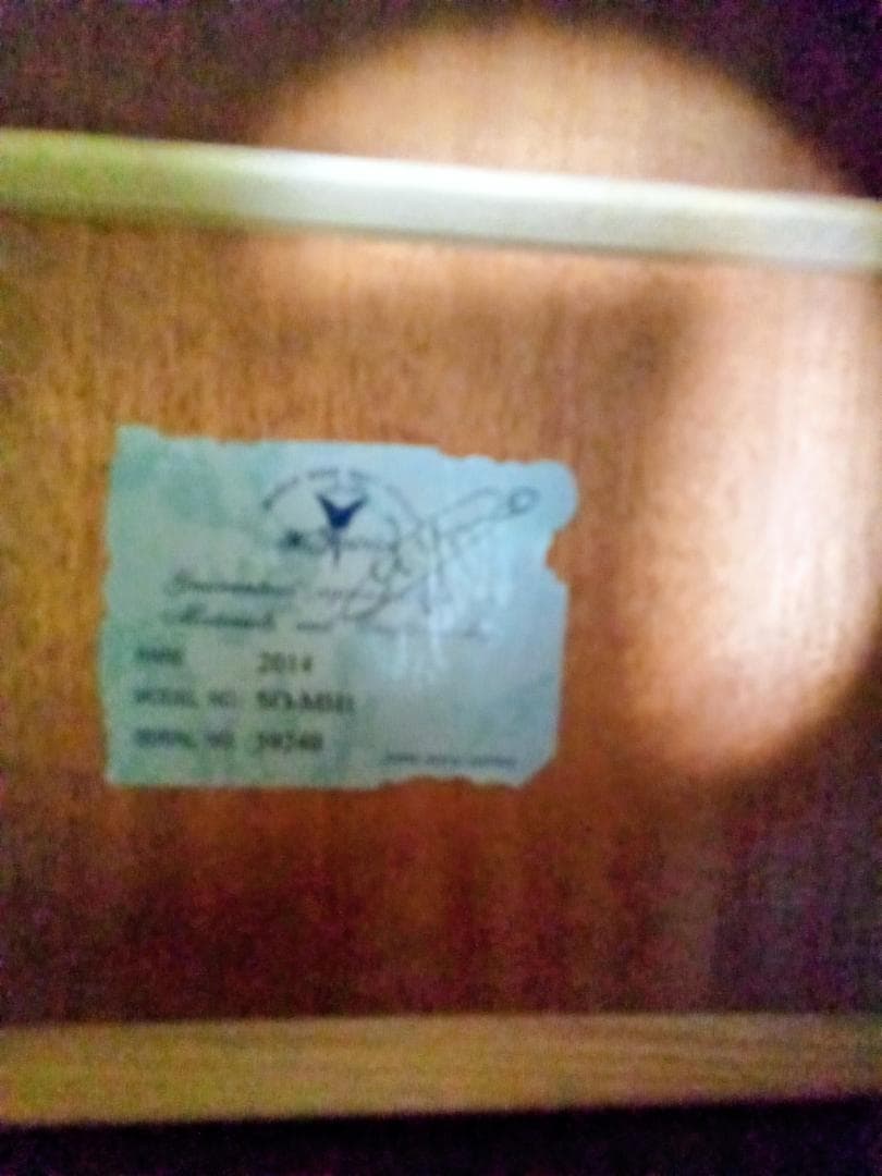 【専用】❗美品‼️K.Yairi SO-MH1 　純正ハードケース