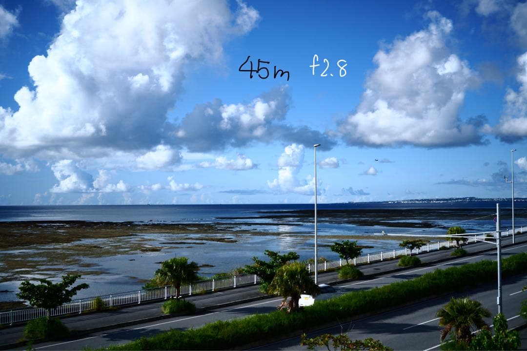 SIGMA fp レンズ2本　ケージセット