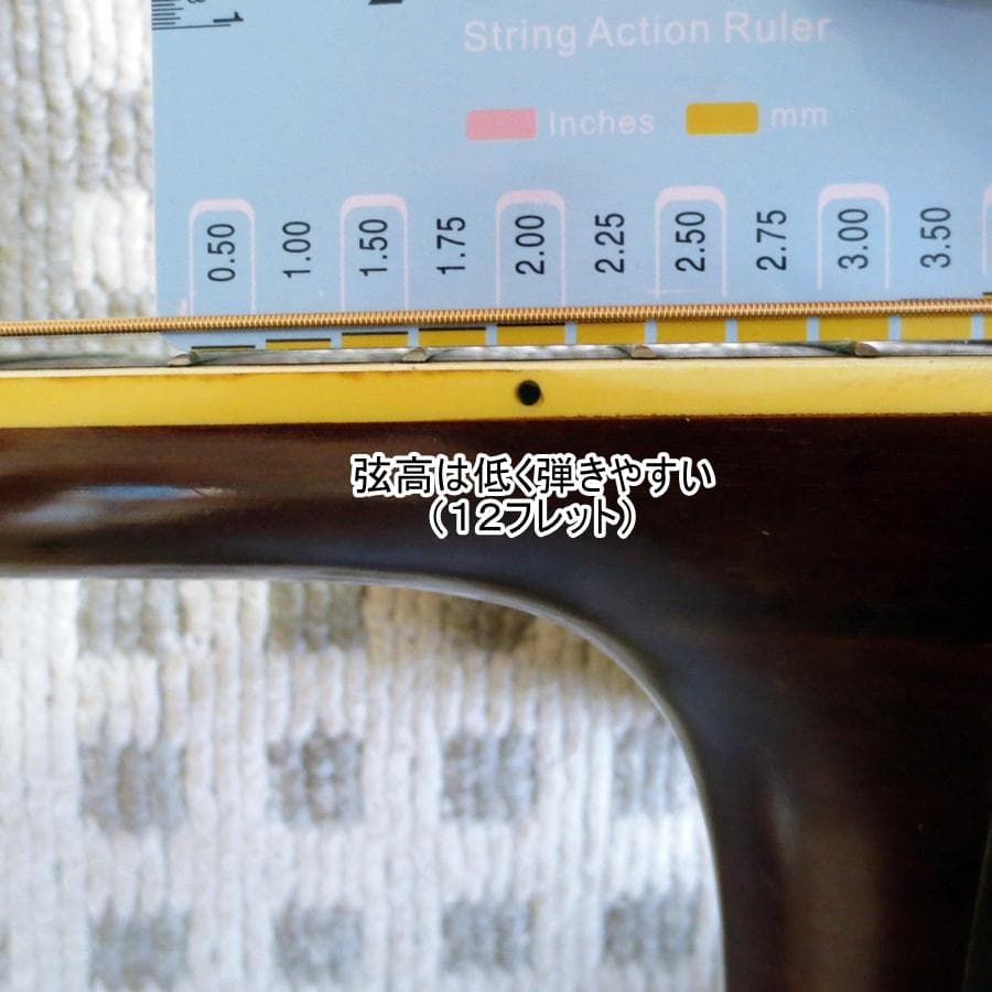 初心者でもとても弾き易い猫の目　Cat's Eyes CE-300