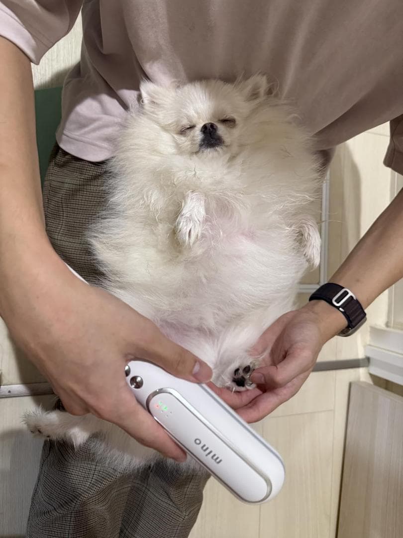 【2025年グッドデザイン賞受賞】mino ペットドライヤー 小型・コンパクトp