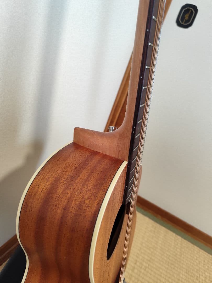 美品 aNueNue M2 アコースティックギター 中古