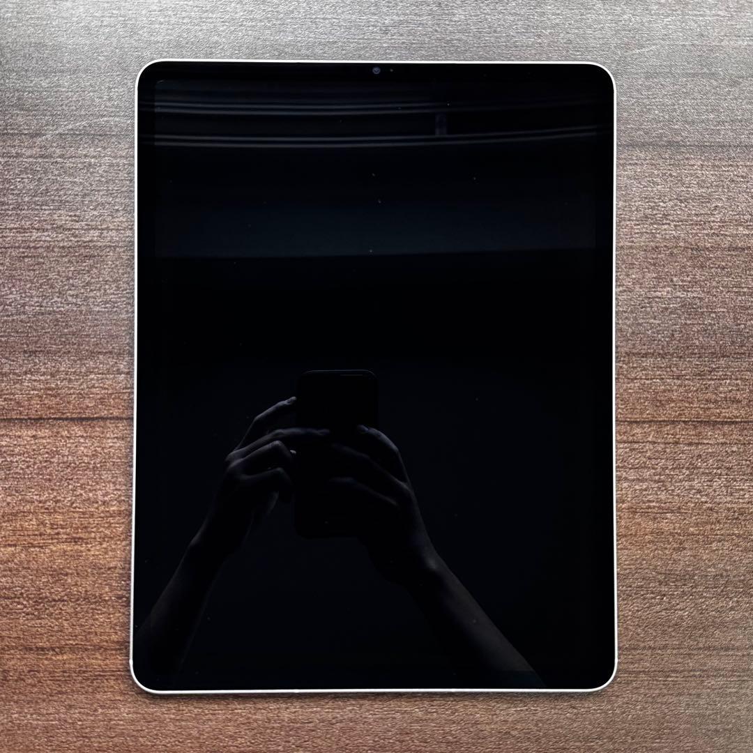 iPad Pro 12.9 第5世代 256GB セルラー