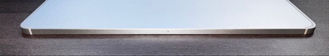 iPad Pro 12.9 第5世代 256GB セルラー