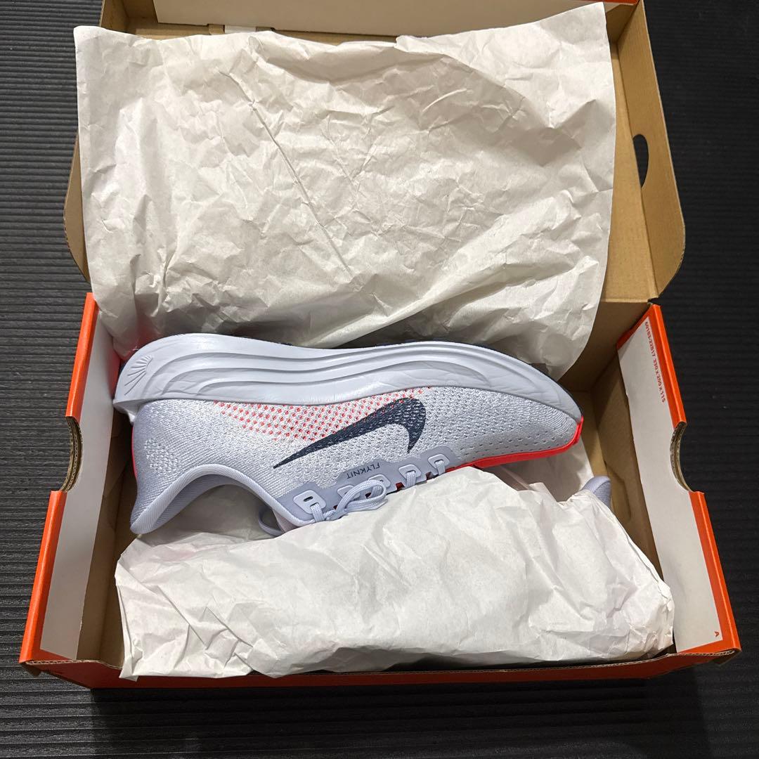 ペガサスプラス 26.0cm