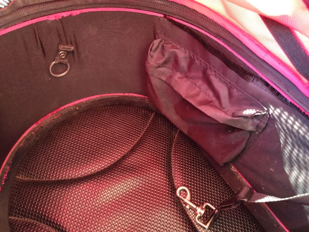 AirBuggy　エアバギー　DOME1？　ラージ？　神奈川　引取限定