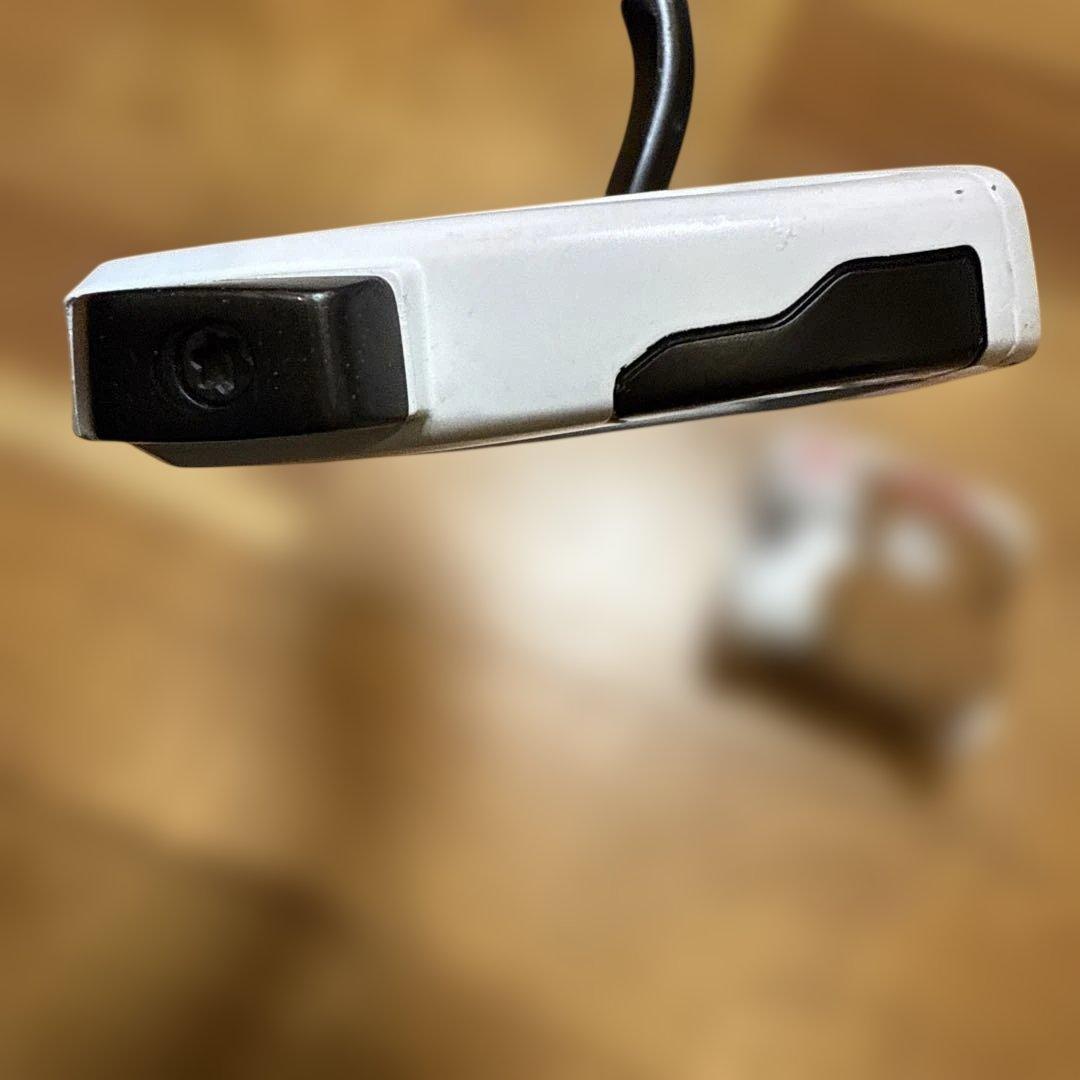 テーラーメイドのスパイダー EX ゴーストホワイトパター33インチ美品！