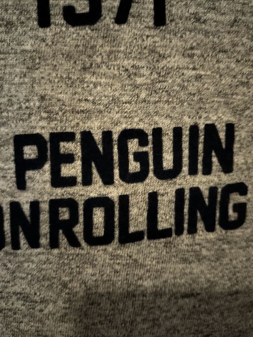未使用★デニム&ダンガリー02 ペンギンワッペン ゴートゥーハリウッド FITH