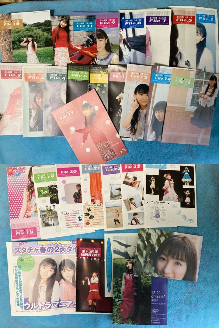 堀江由衣　グッズ各種