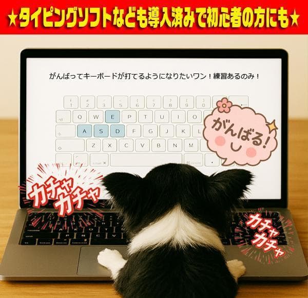 ☀大人気★美品LAVIE★最新Win11★特盛1000GB★メモリ増★オフィス★
